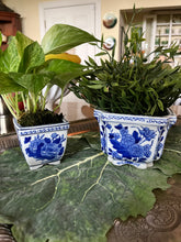 Pair of Blue& White Square Planters