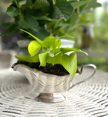 Silverplate Gravy Boat