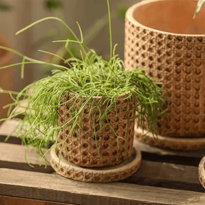 Faux Cane Weave Cement Pot