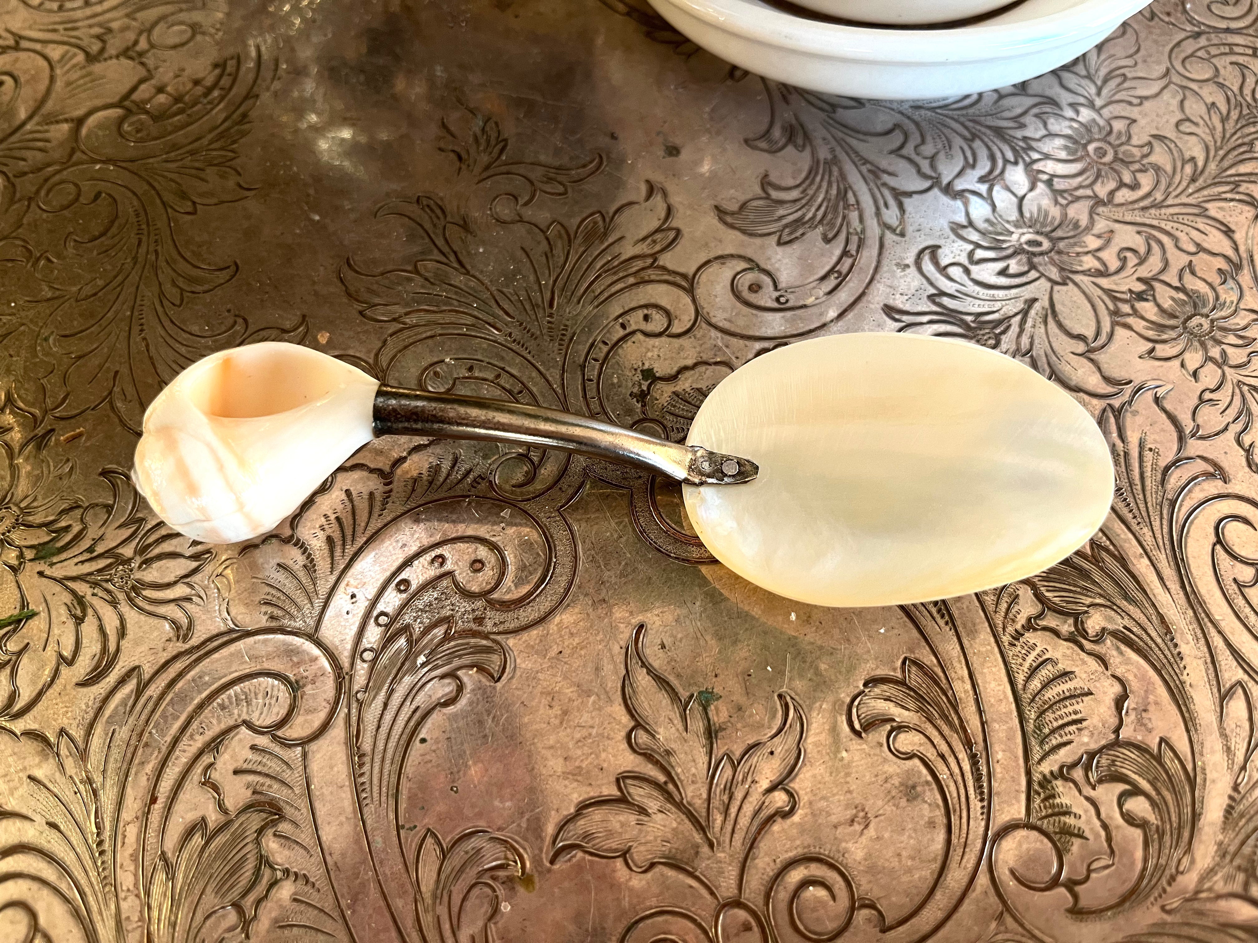 Vintage Shell & MOP Spoon