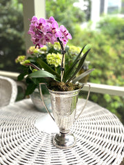 Silverplate Trophy Vase