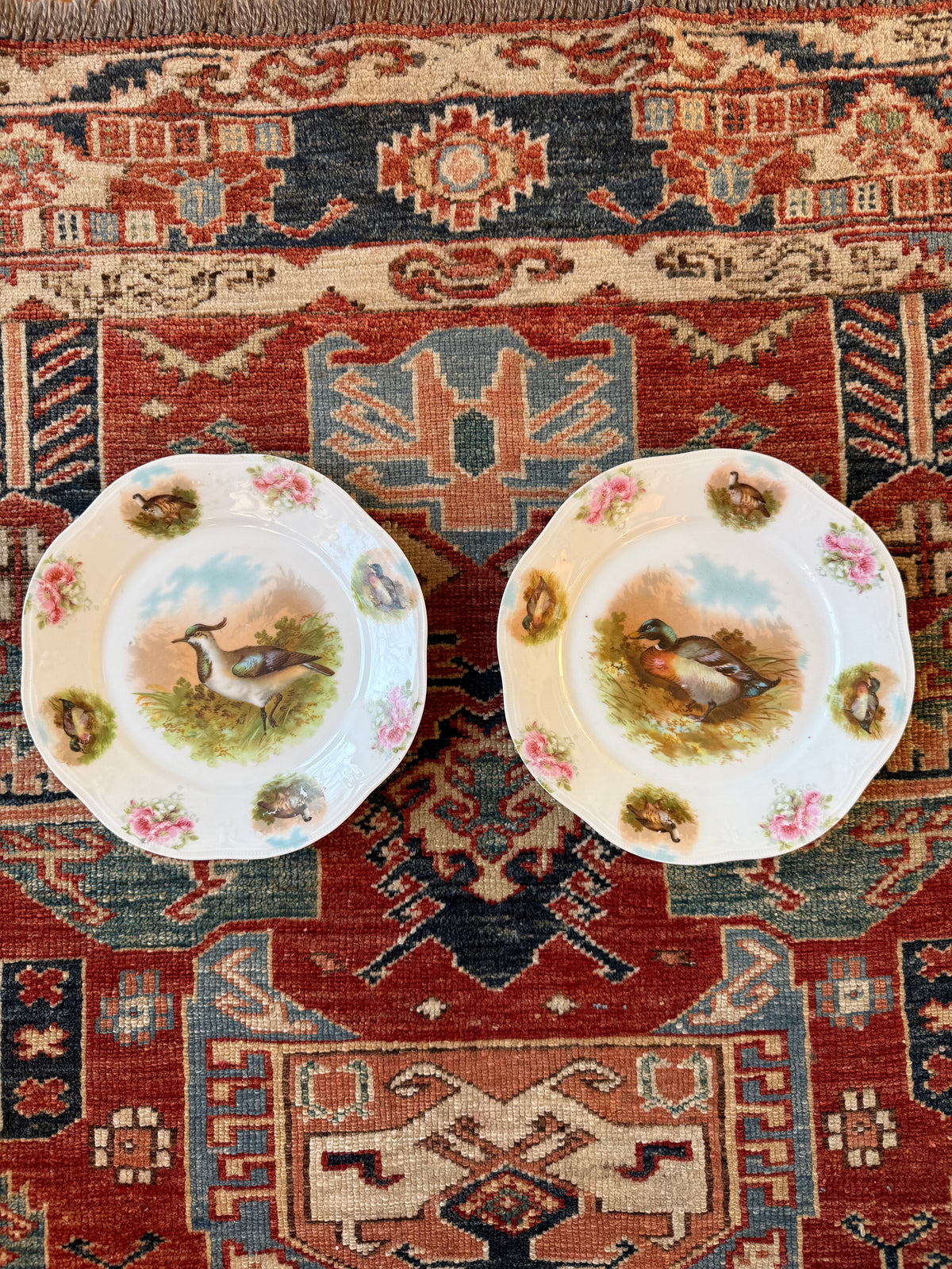 Antique Bavarian Bird Plates