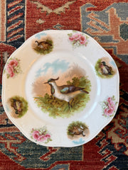 Antique Bavarian Bird Plates