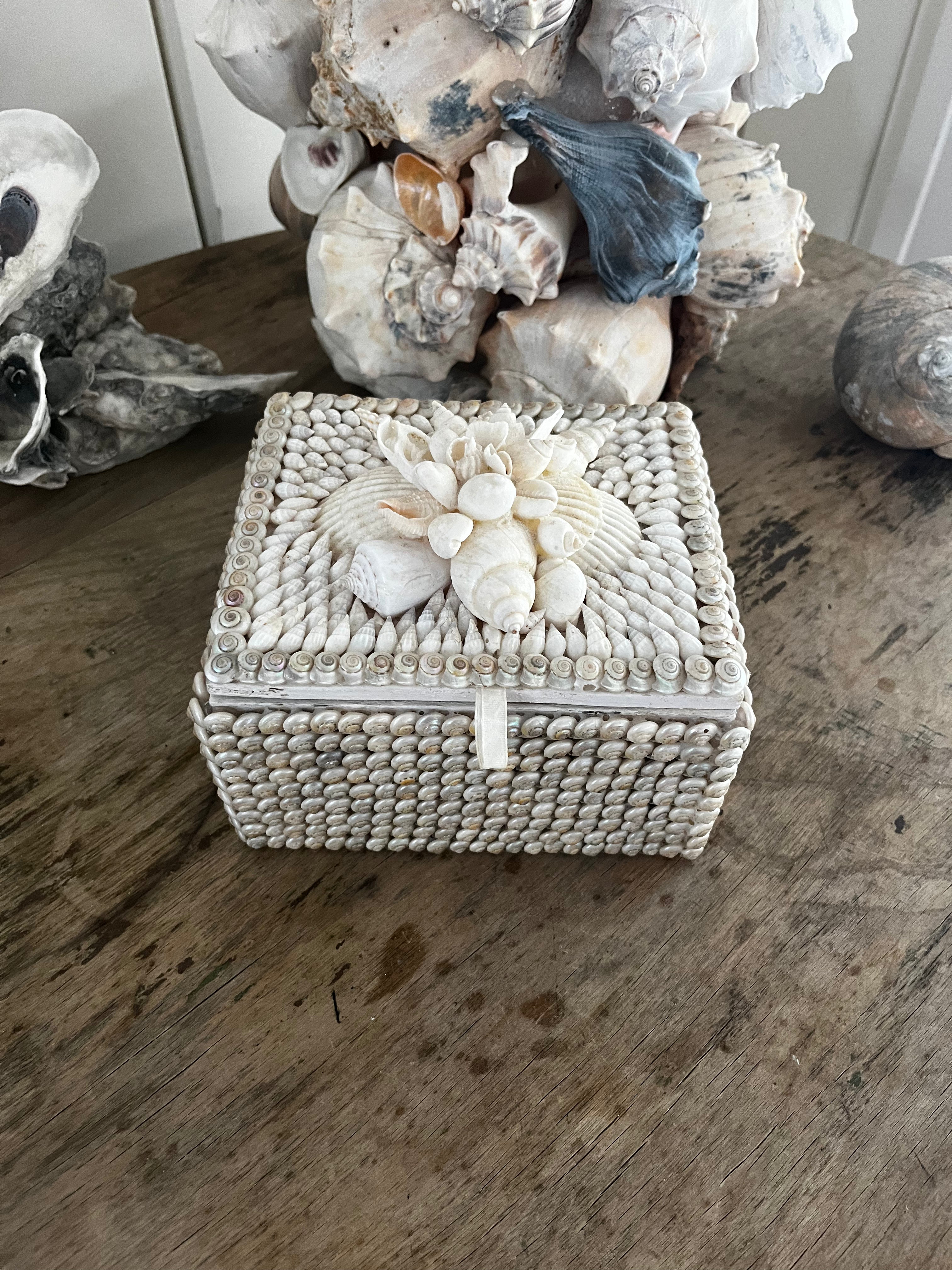 Gorgeous Shell Box