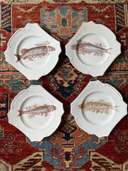 Set of 4 Bavarian Fish Plates