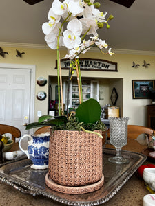 Faux Cane Weave Cement Pot