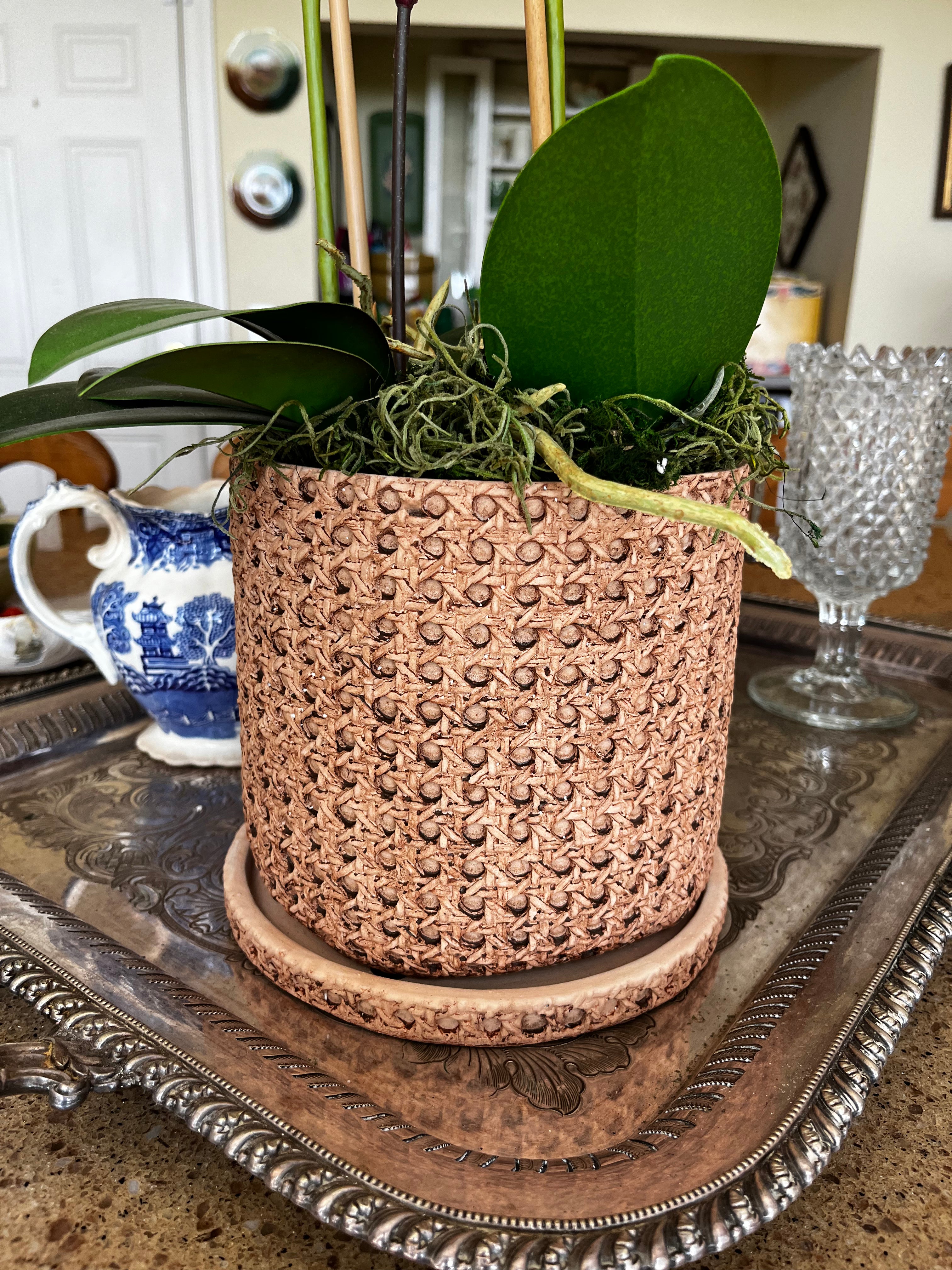 Faux Cane Weave Cement Pot