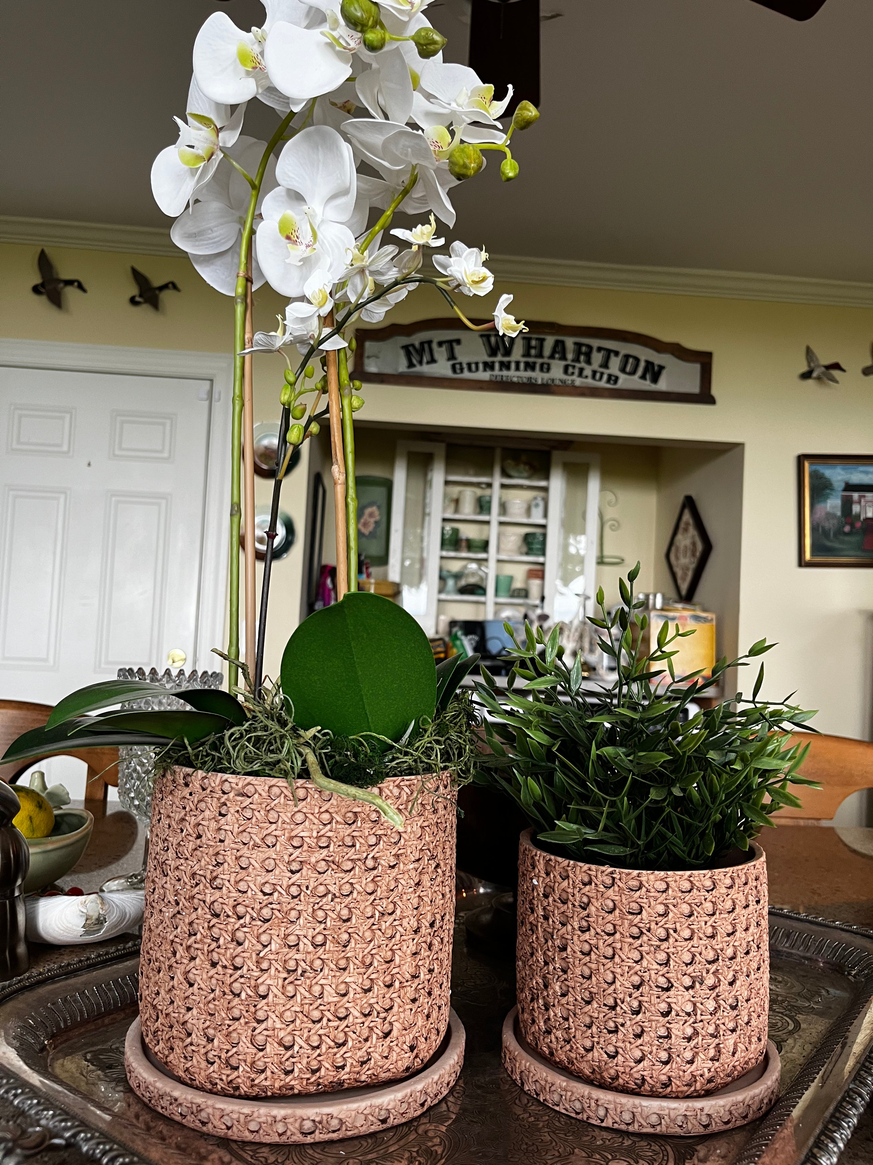 Faux Cane Weave Cement Pot