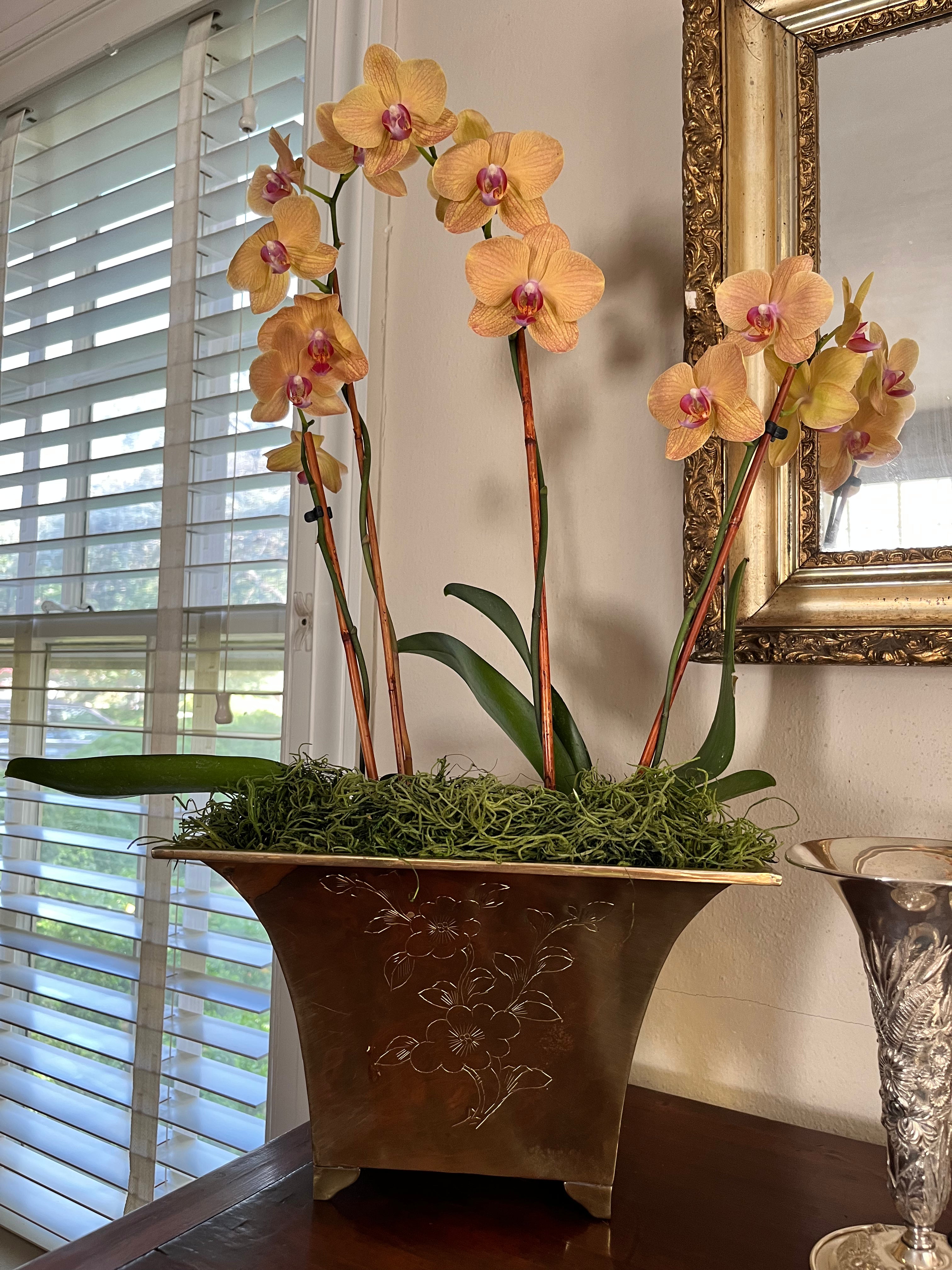 Brass Cherry Blossom Engraved Planter